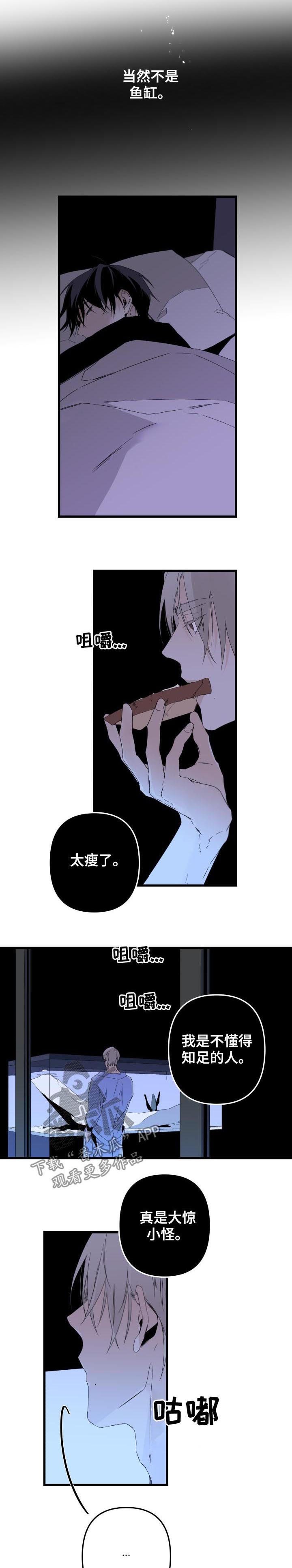 第114章：番外：你误会了