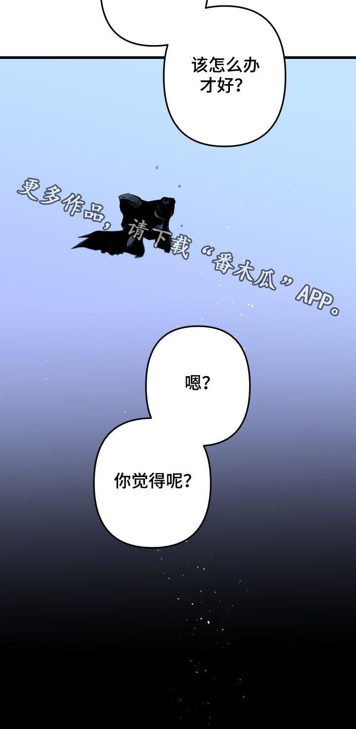 第114章：番外：你误会了