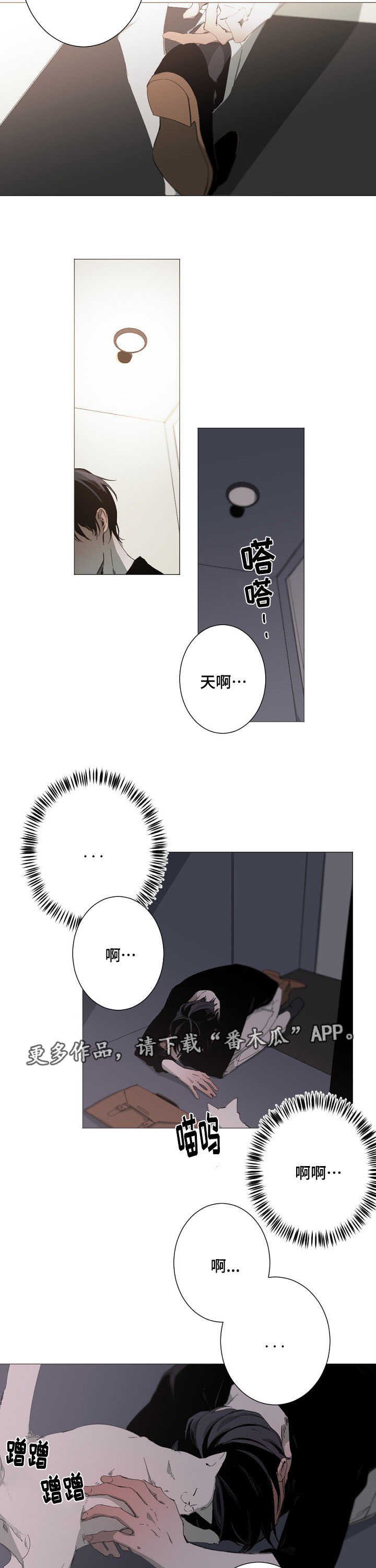 第13章：我不后悔
