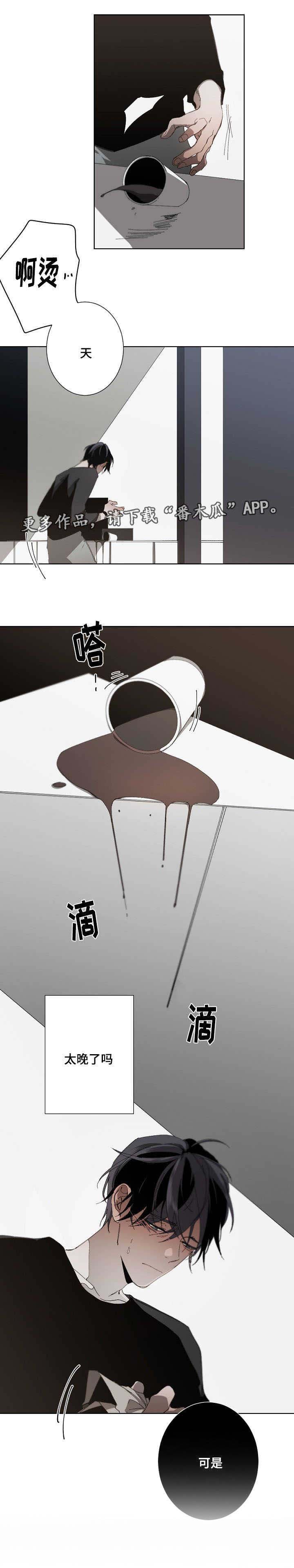 第17章：错觉