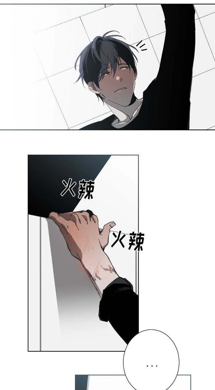 第17章：错觉