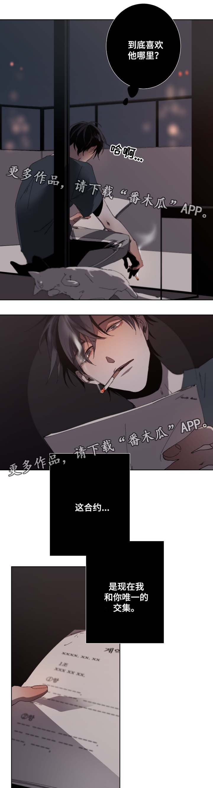 第29章：合约