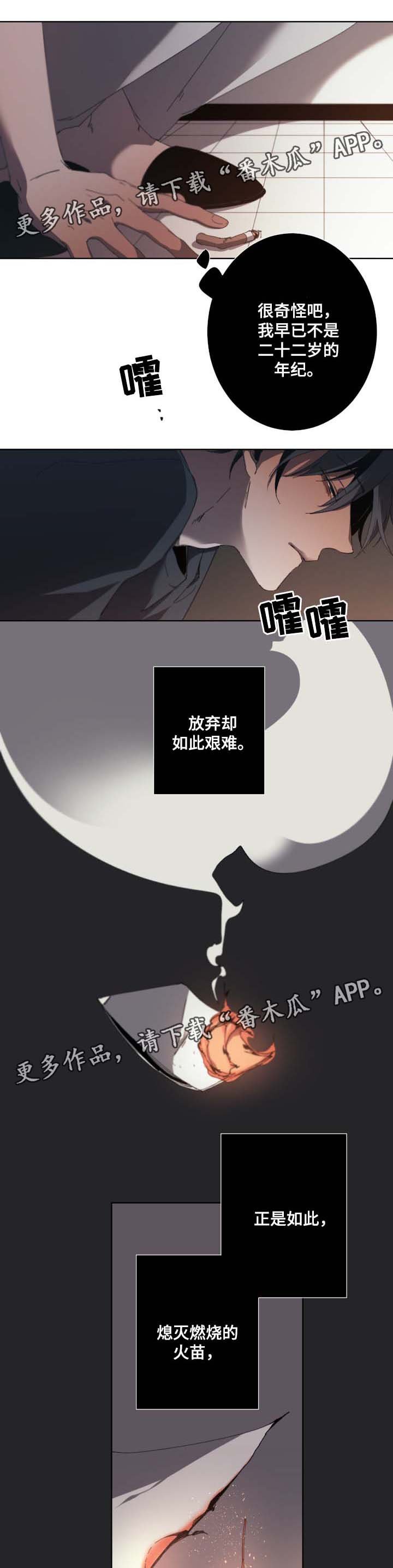 第29章：合约