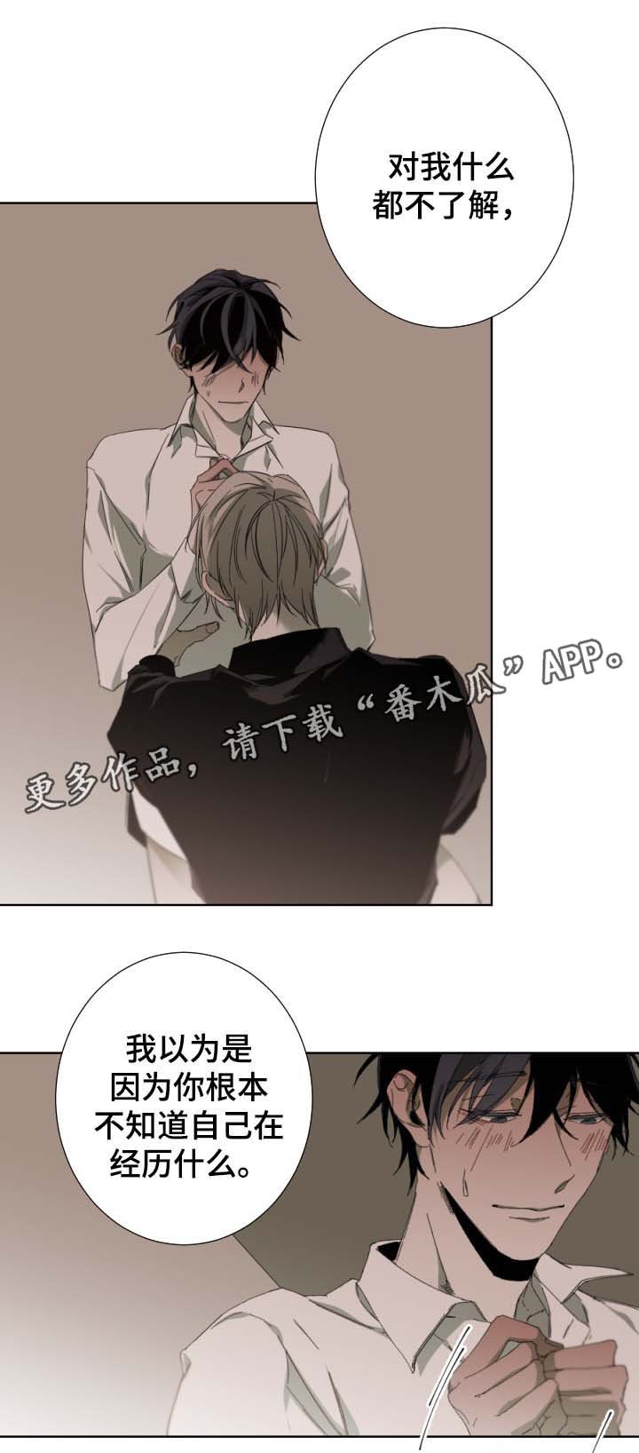 第42章：我喜欢你
