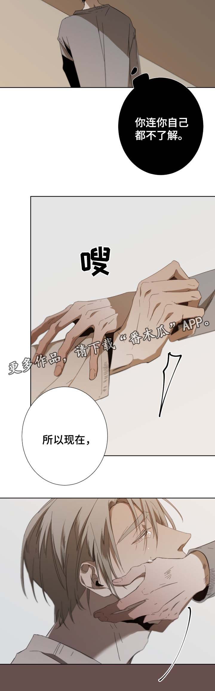第42章：我喜欢你