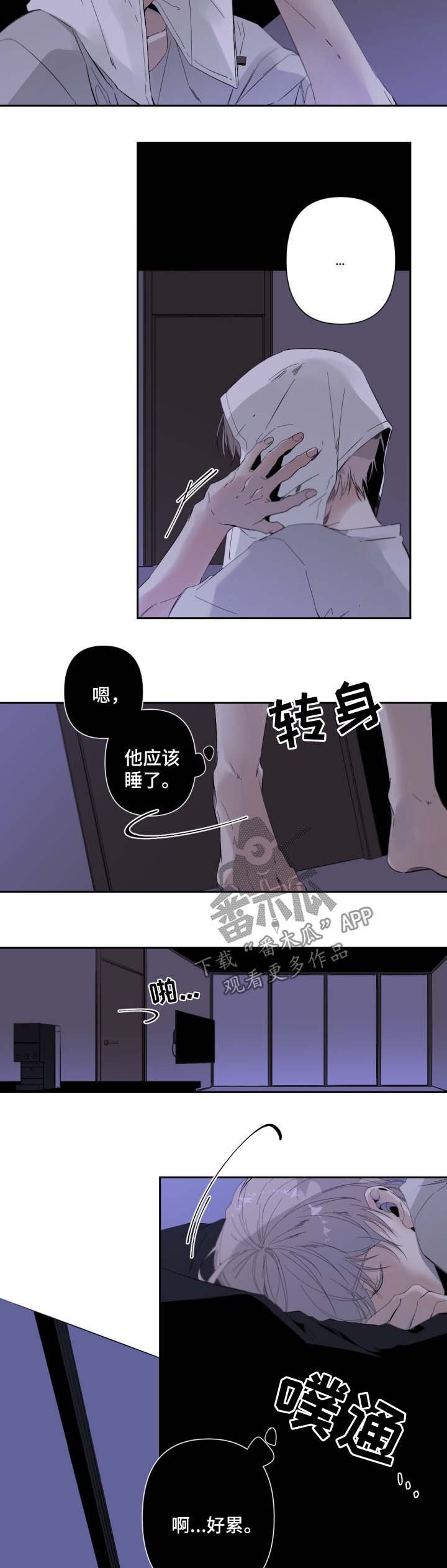 第48章：自由的灵魂