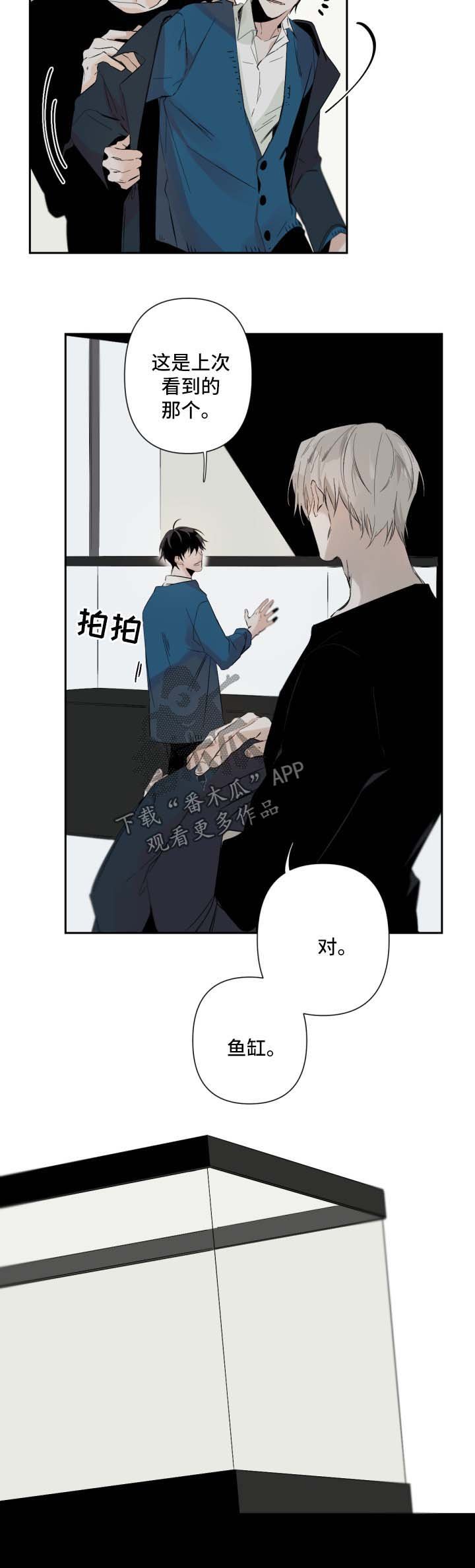 第52章：鱼缸环境