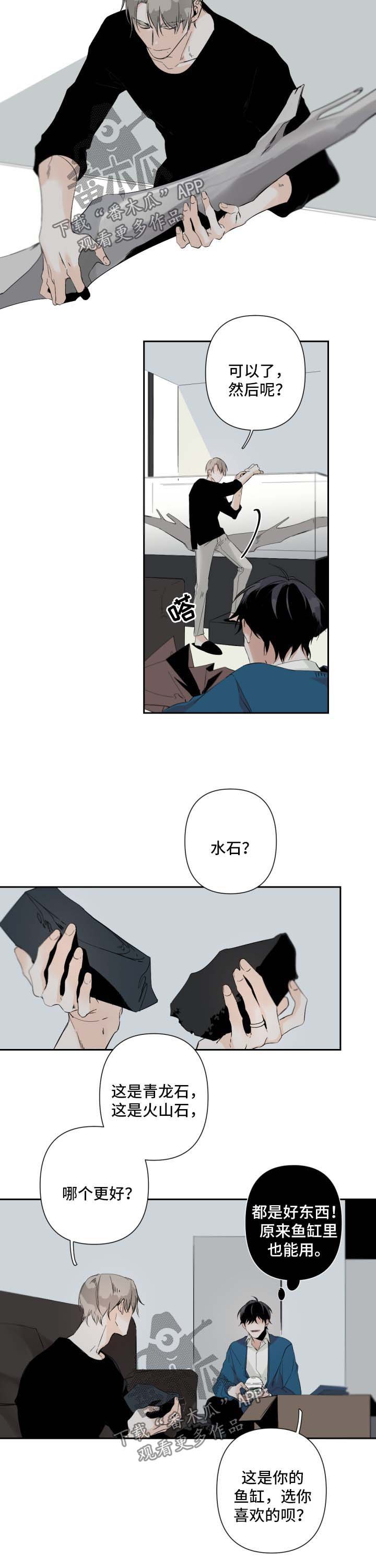 第52章：鱼缸环境