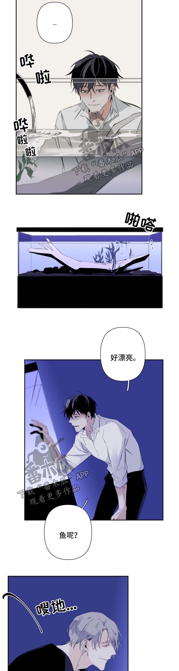 第53章：氛围