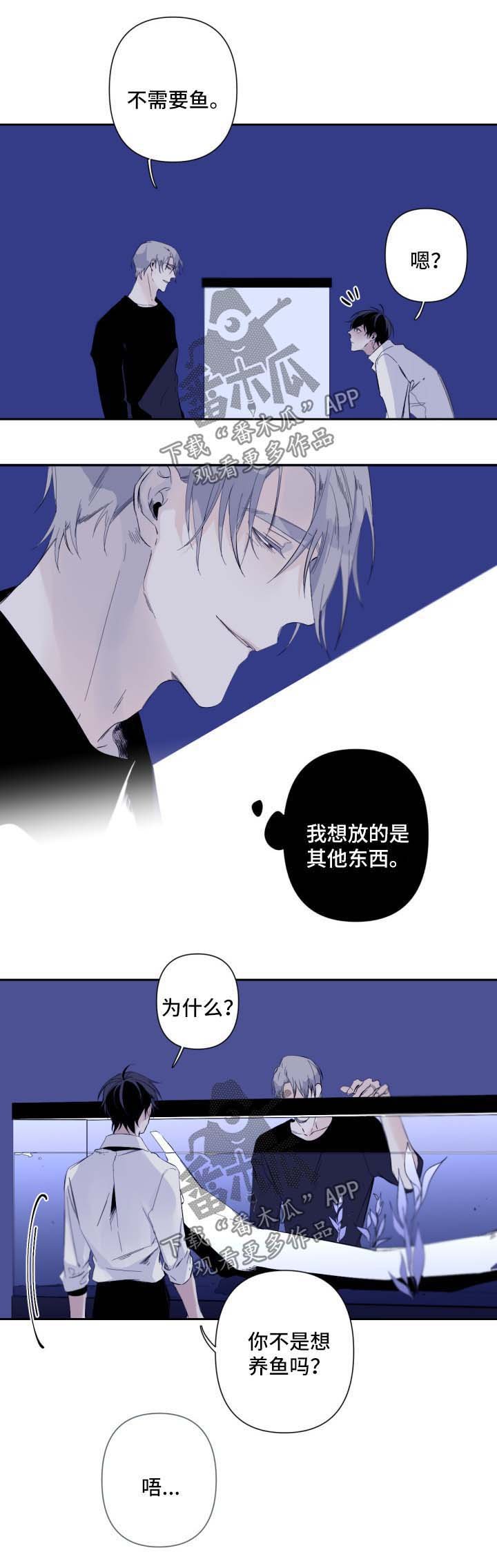 第53章：氛围