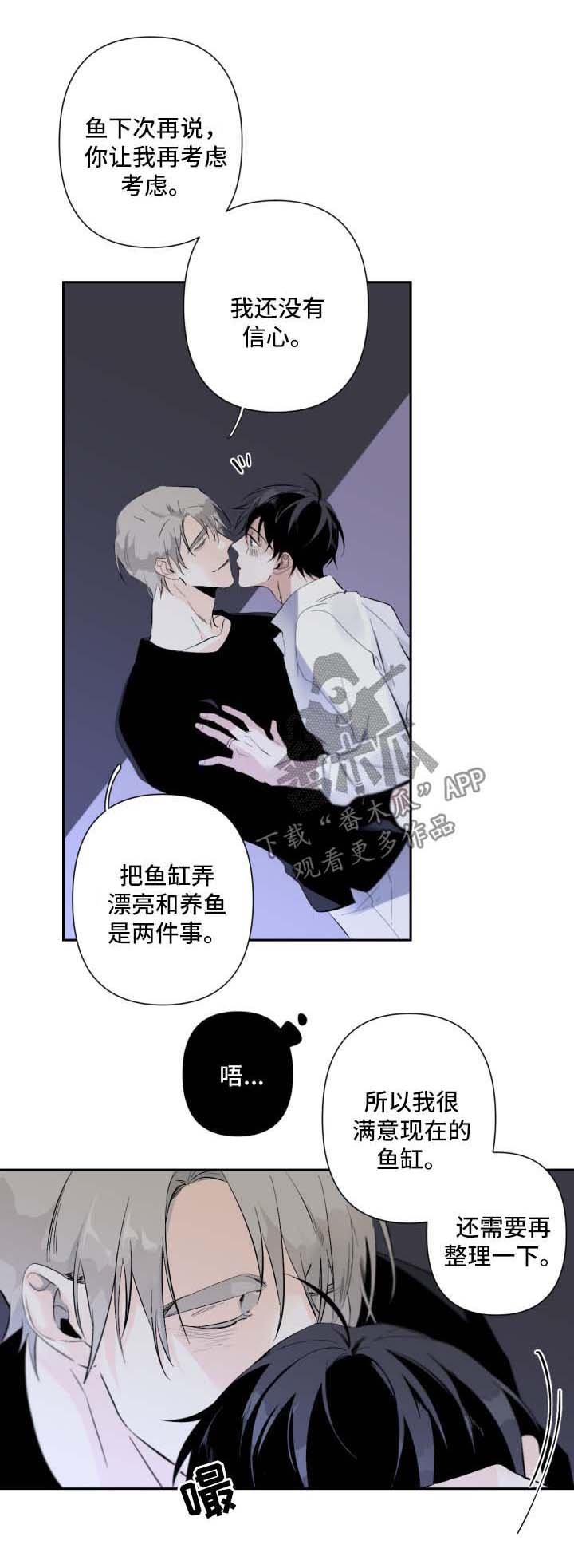 第53章：氛围