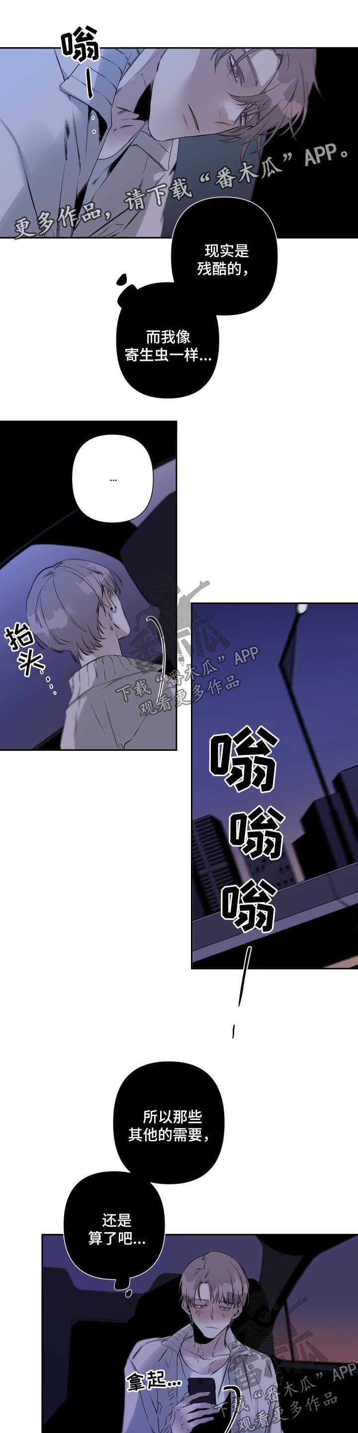 第63章：观赏