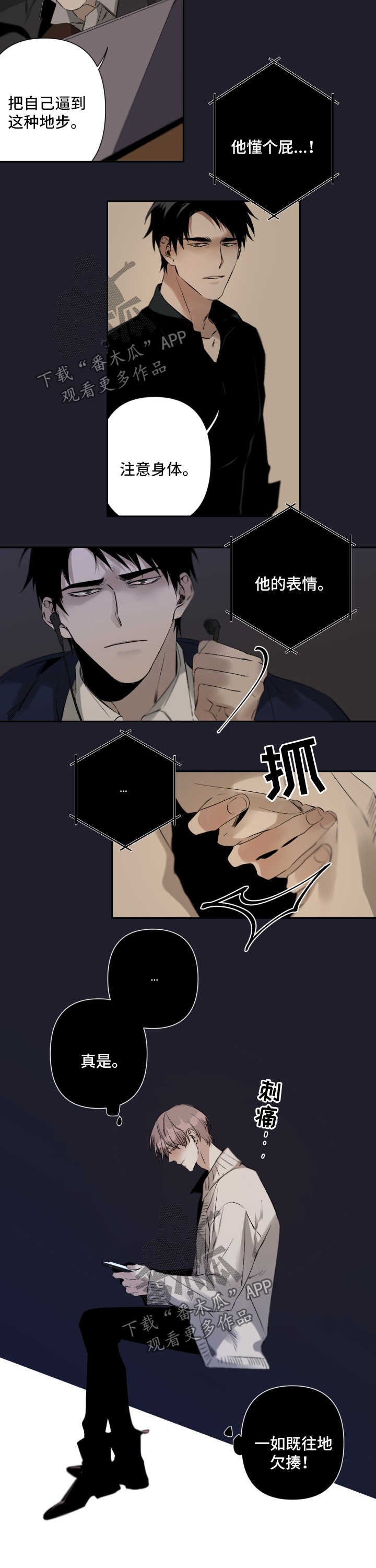 第63章：观赏