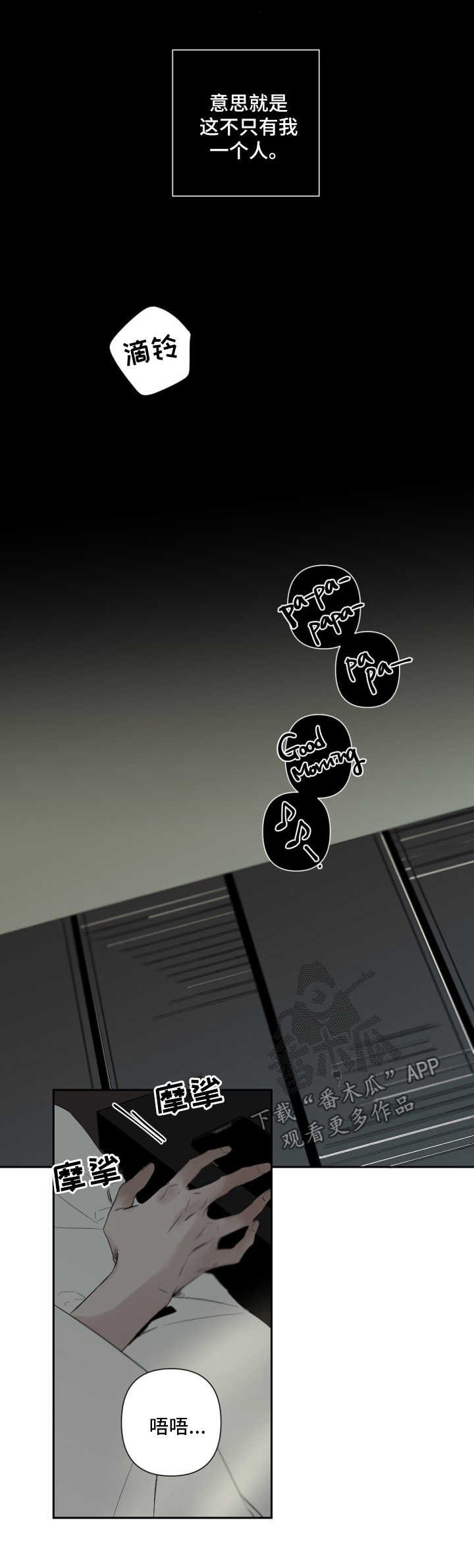 第63章：观赏