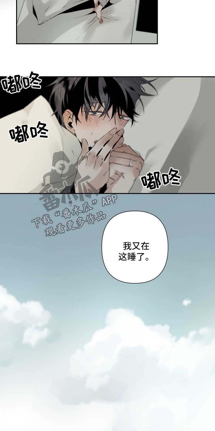 第63章：观赏
