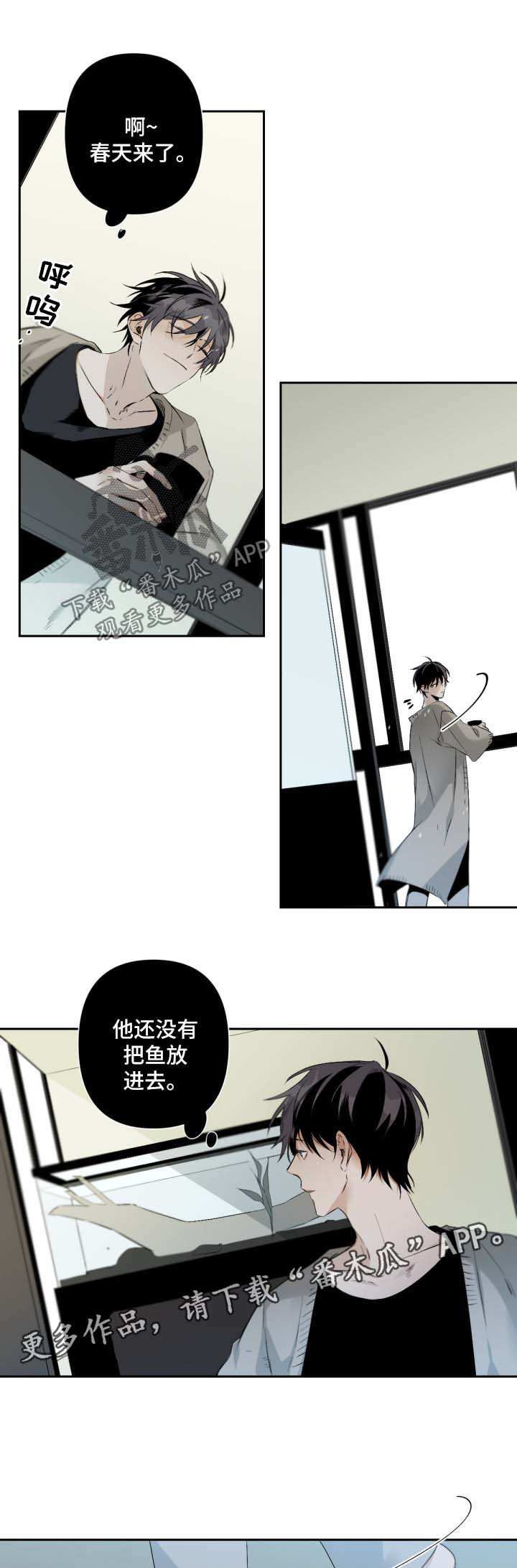 第65章：规则