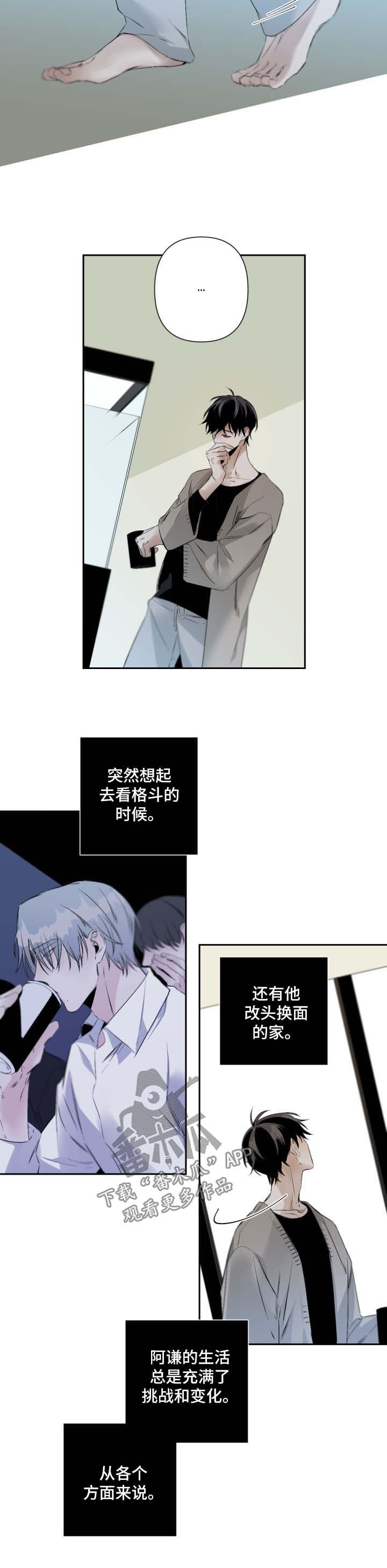 第65章：规则