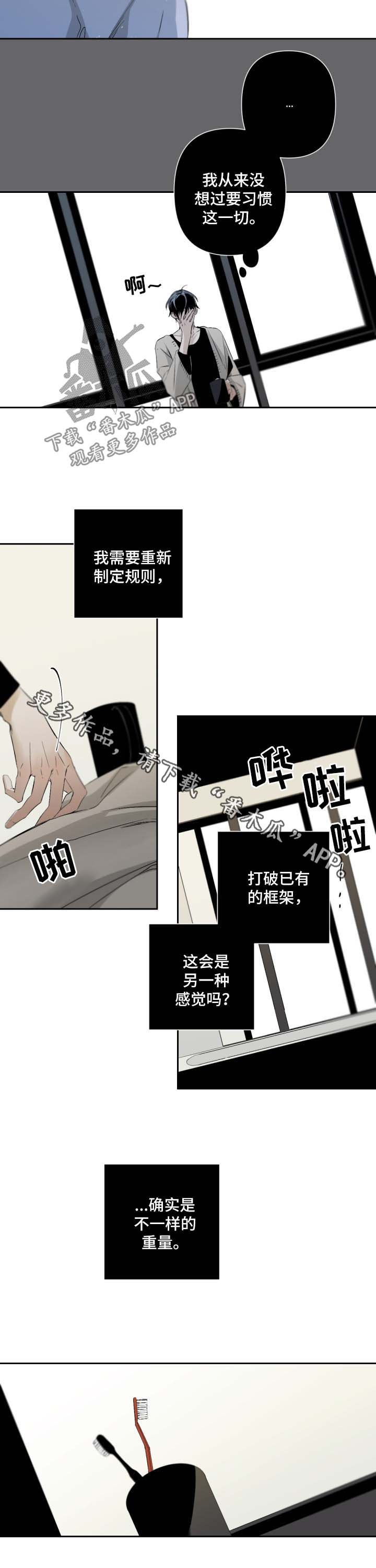 第65章：规则
