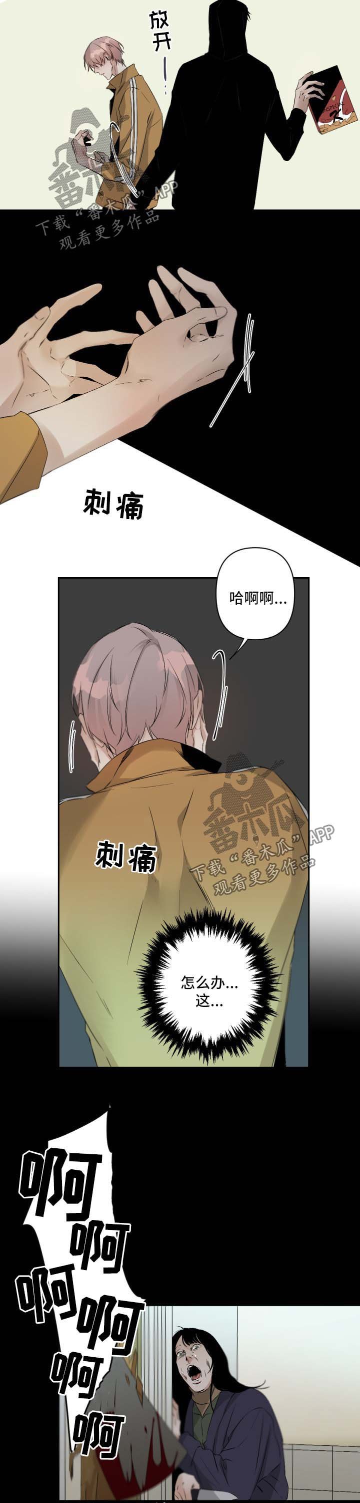 第71章：去超市
