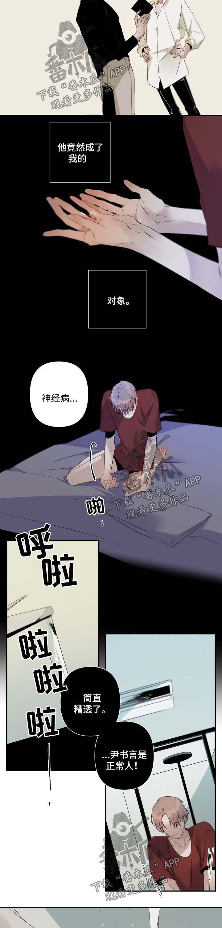 第72章：幻想对象