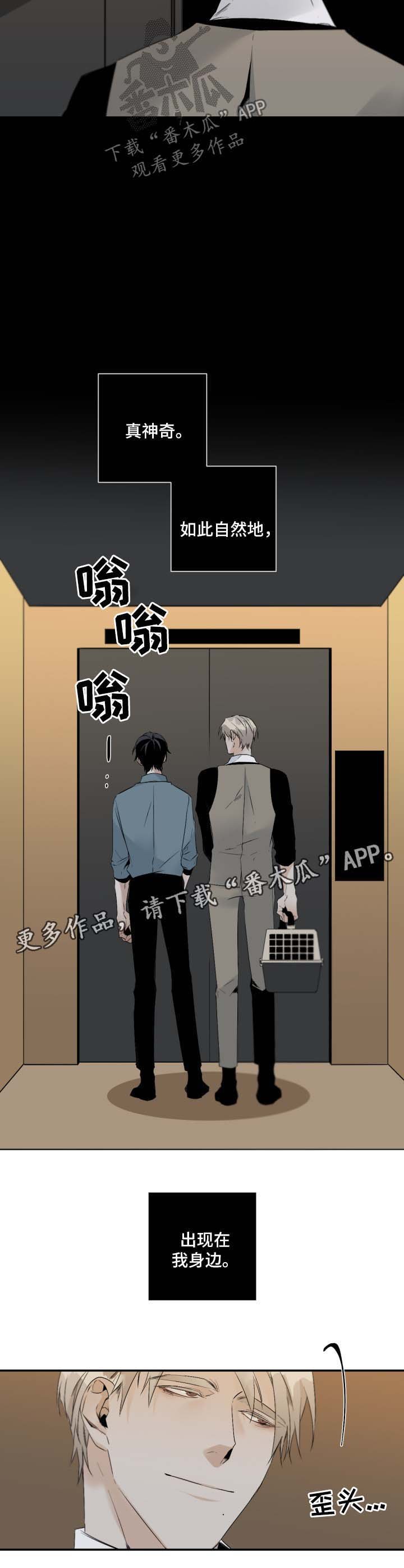 第78章：来公司