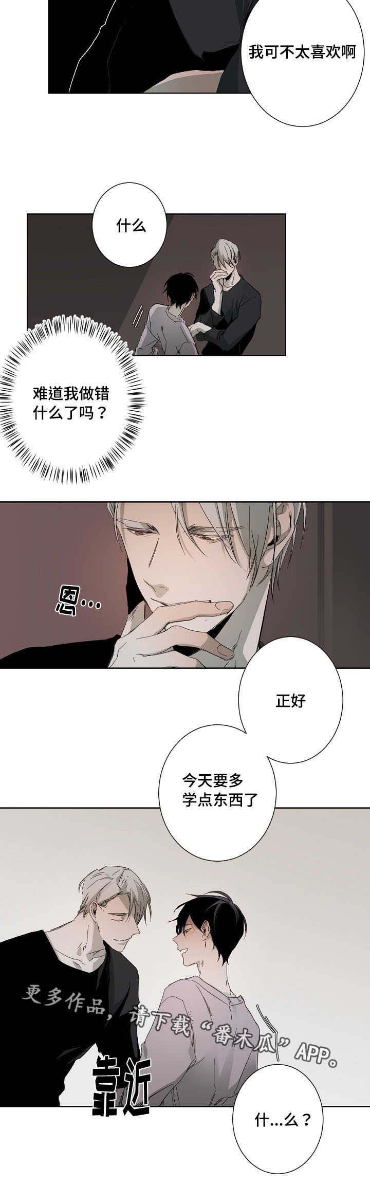 第9章：新手教程