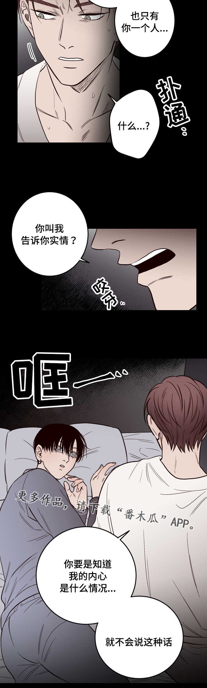 第12章：实情