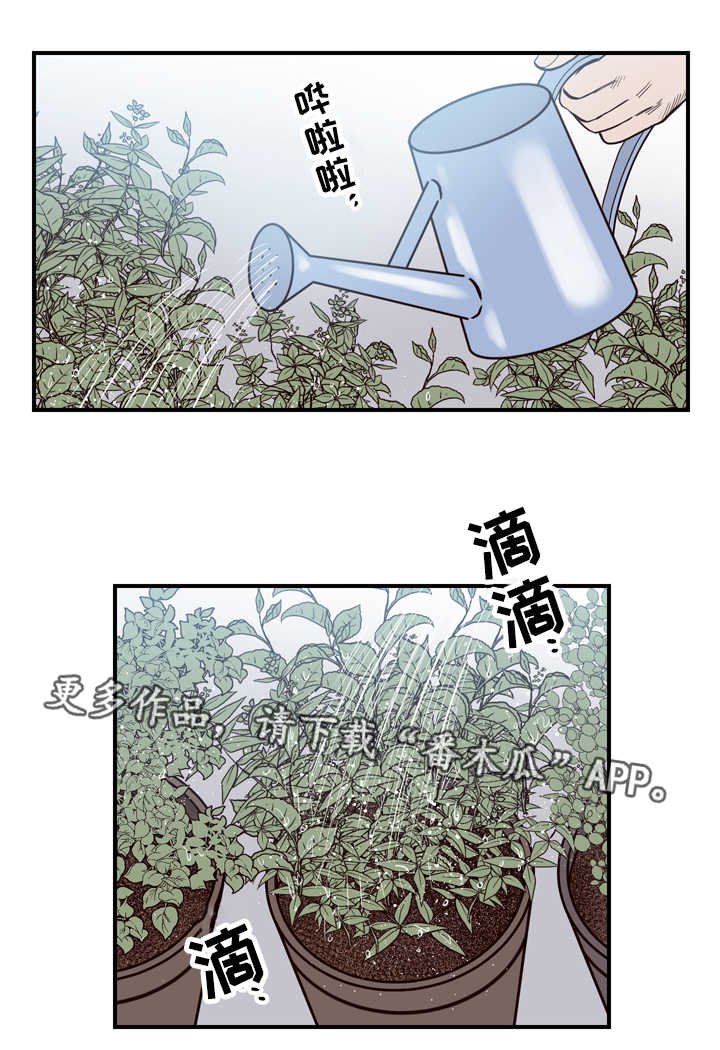 第12章：实情
