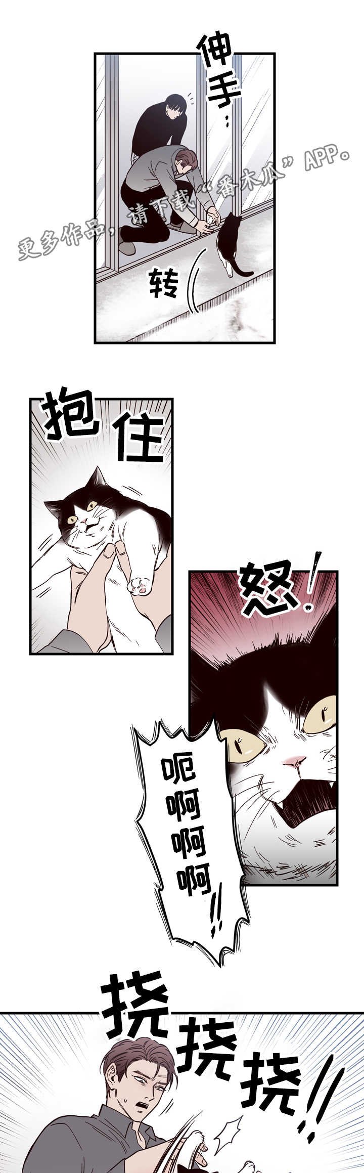 第15章：窗外