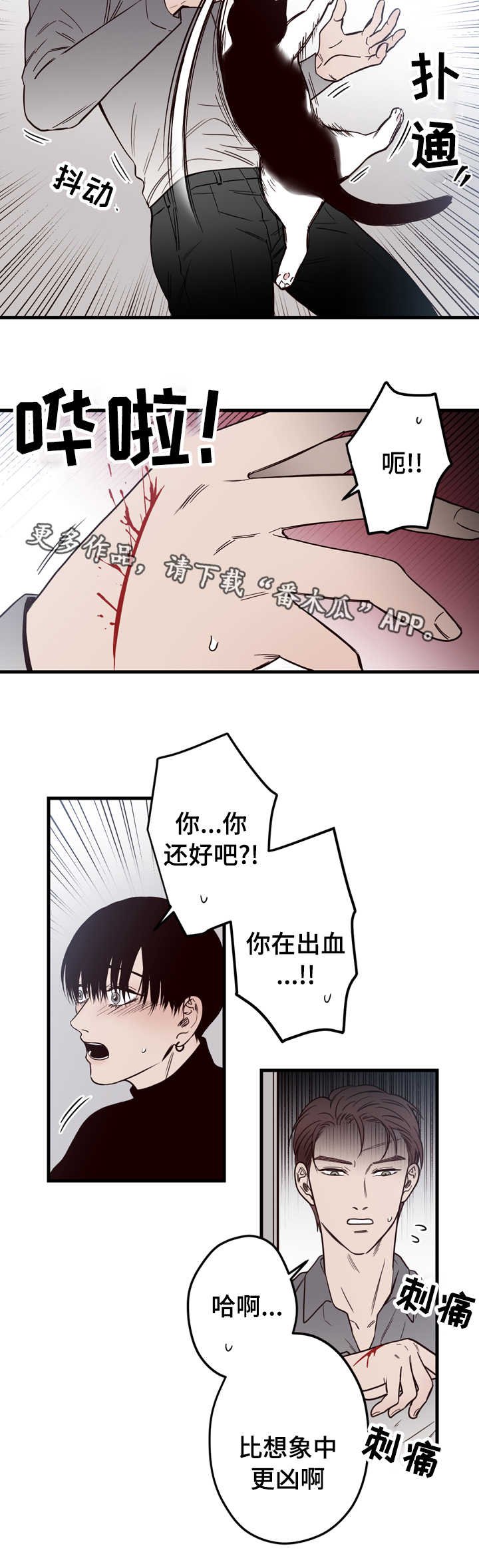 第15章：窗外