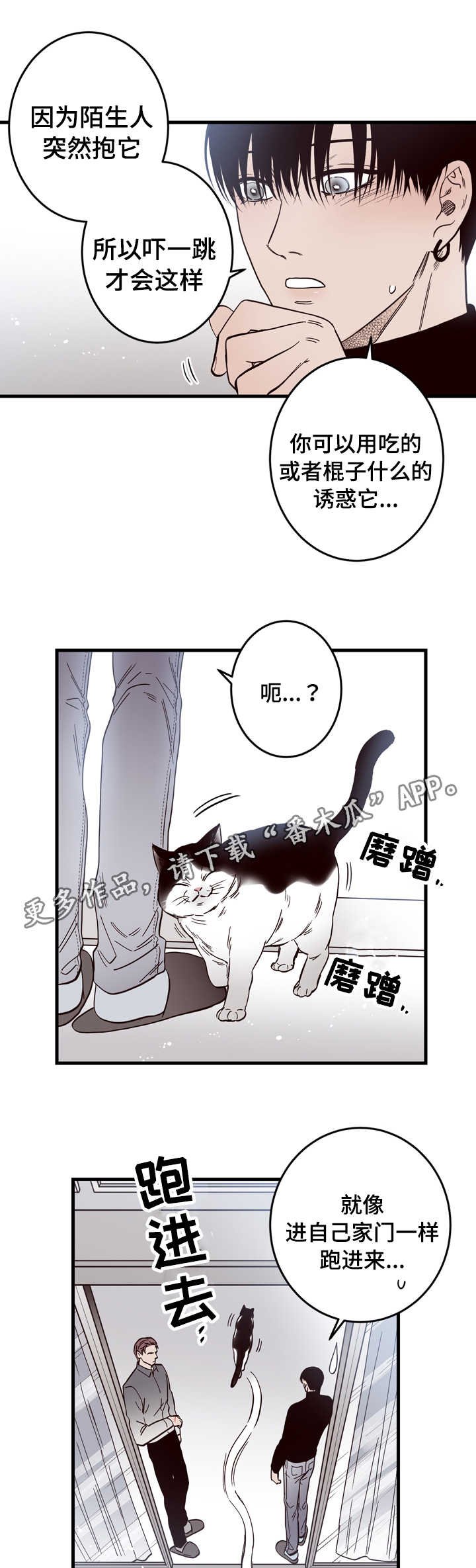 第15章：窗外