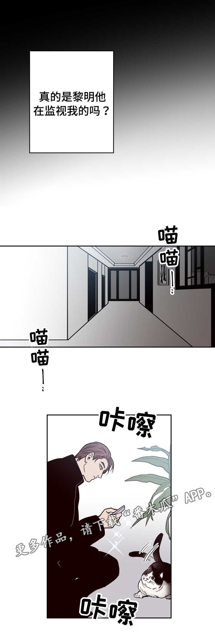 第17章：尸体