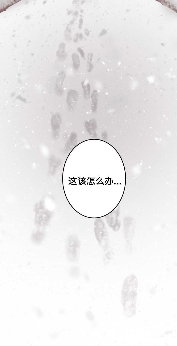 第2章：杀了你