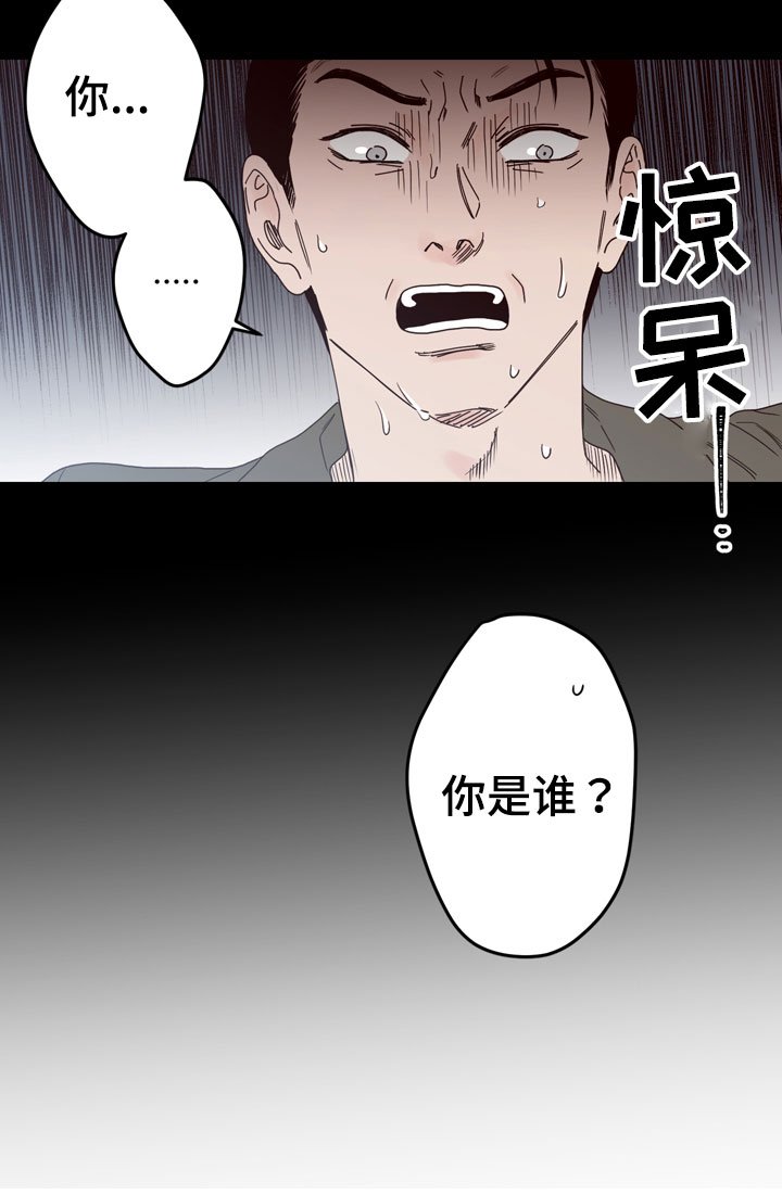 第29章：你是谁