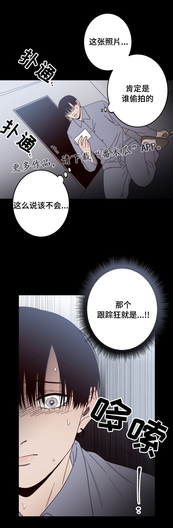 第31章：照片