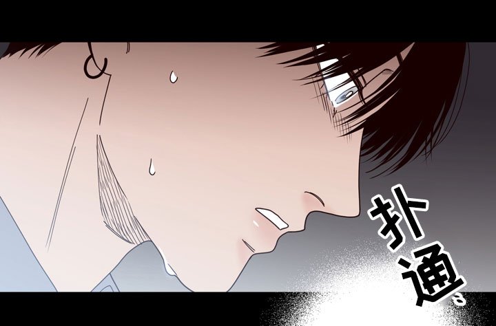 第33章：发现
