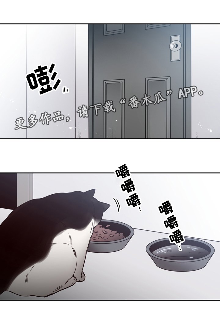 第40章：逃离