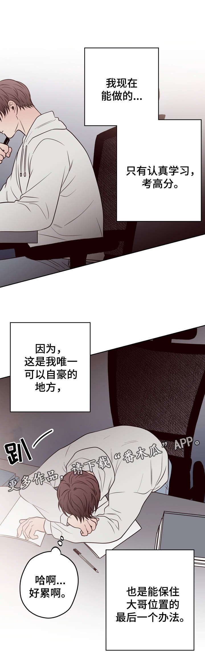 第41章：双胞胎
