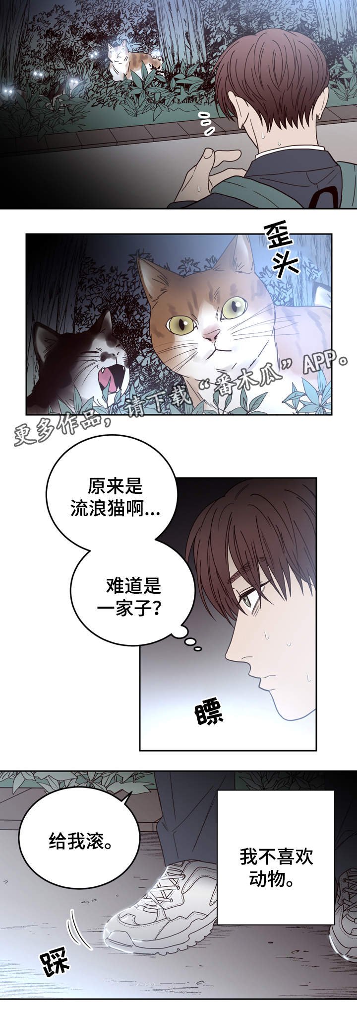 第43章：校园霸凌