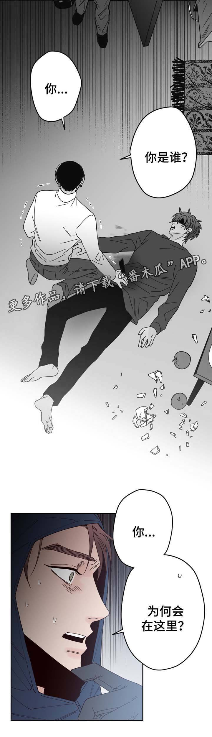第53章：刺伤