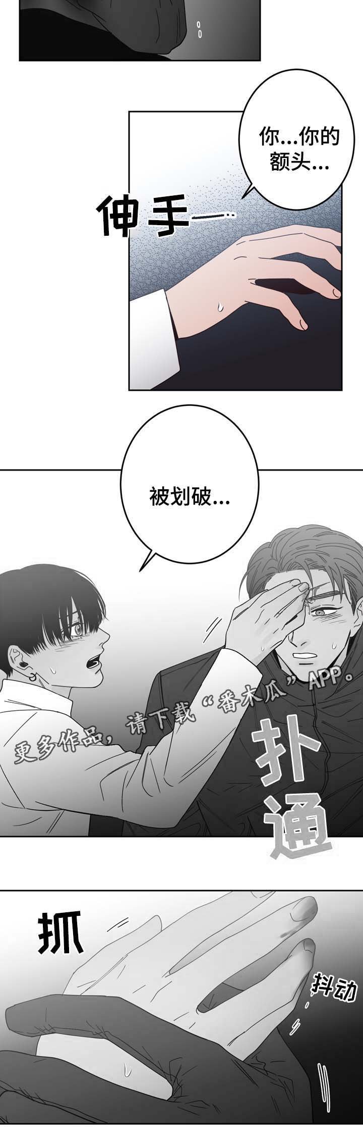第53章：刺伤