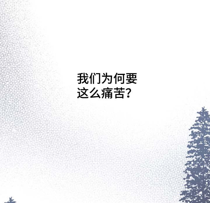 第56章：车祸