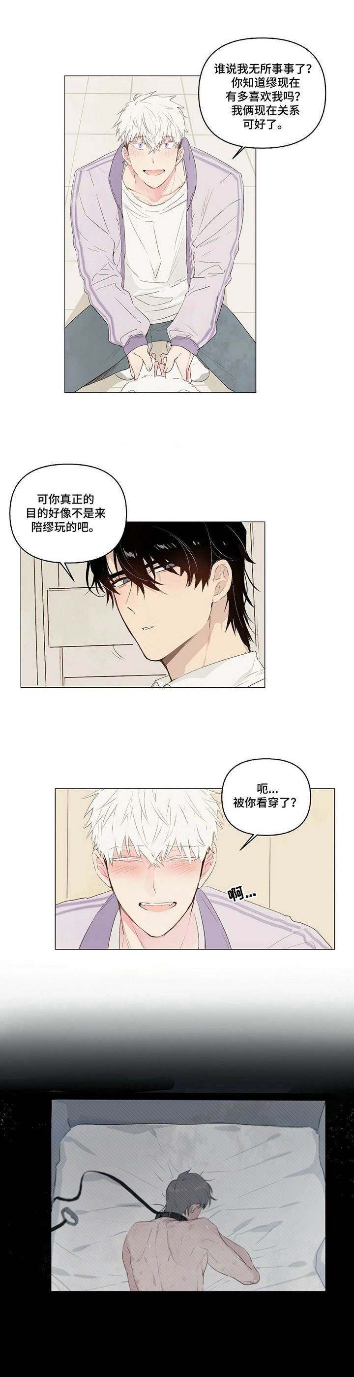 第11章：素材