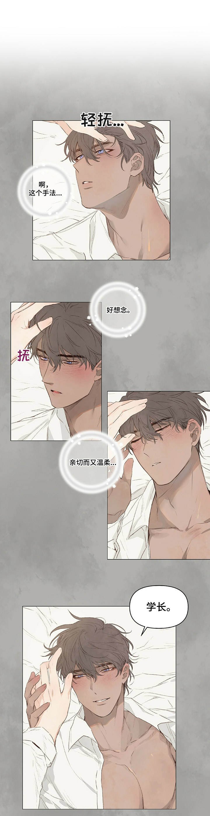 第15章：玩偶