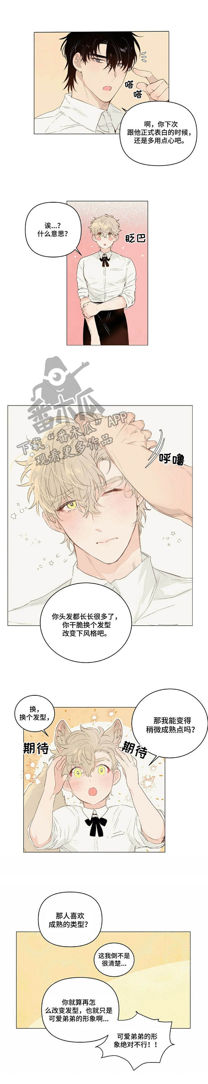 第16章：形象
