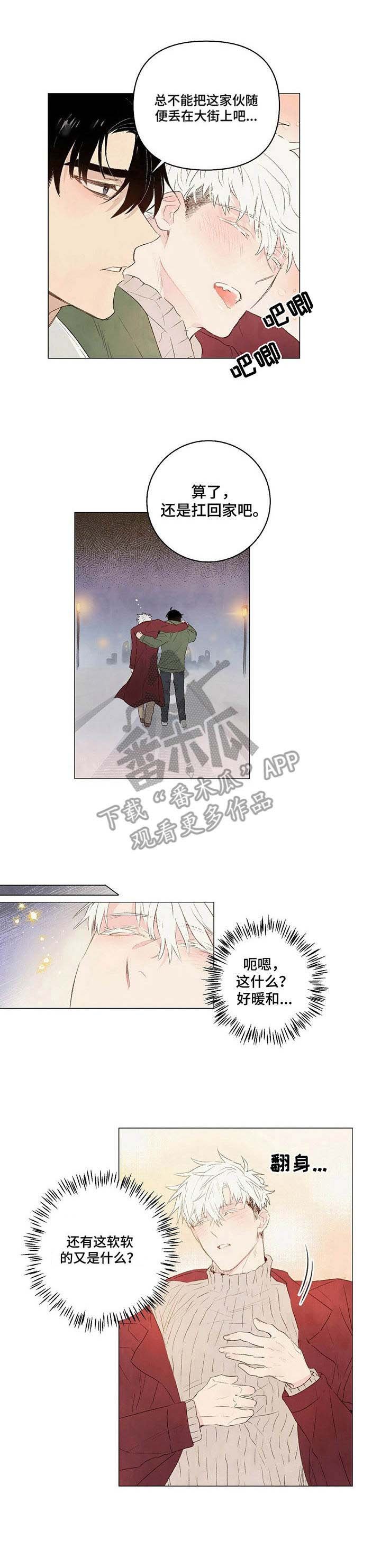 第19章：领回家