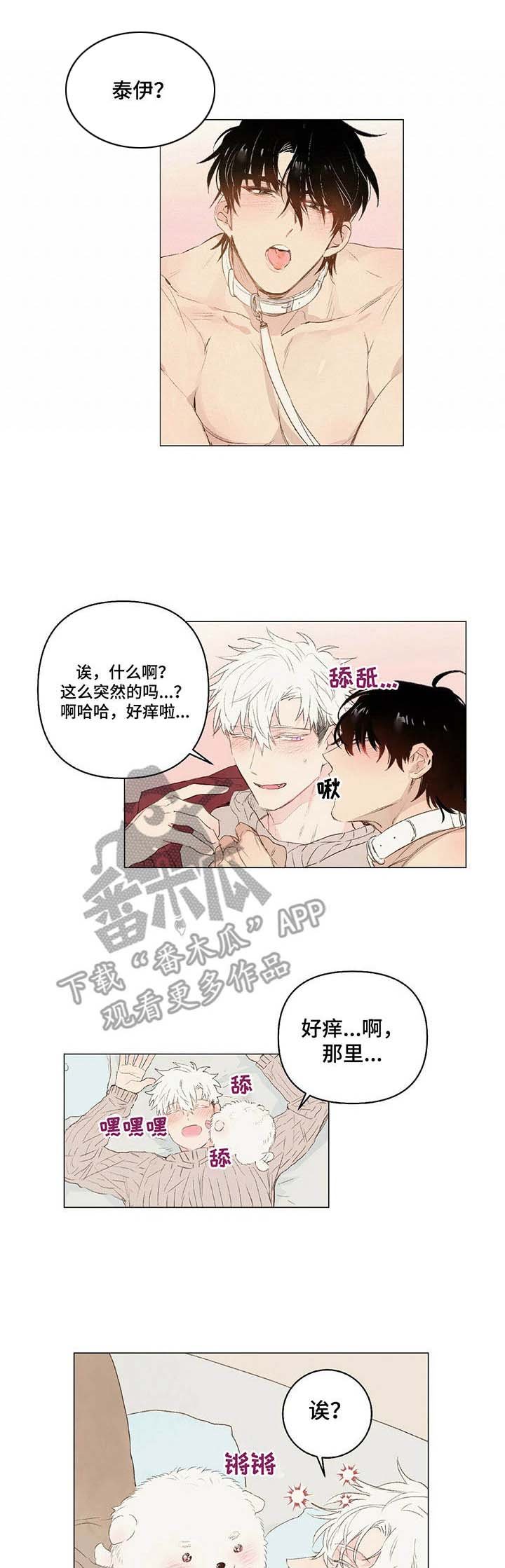 第19章：领回家