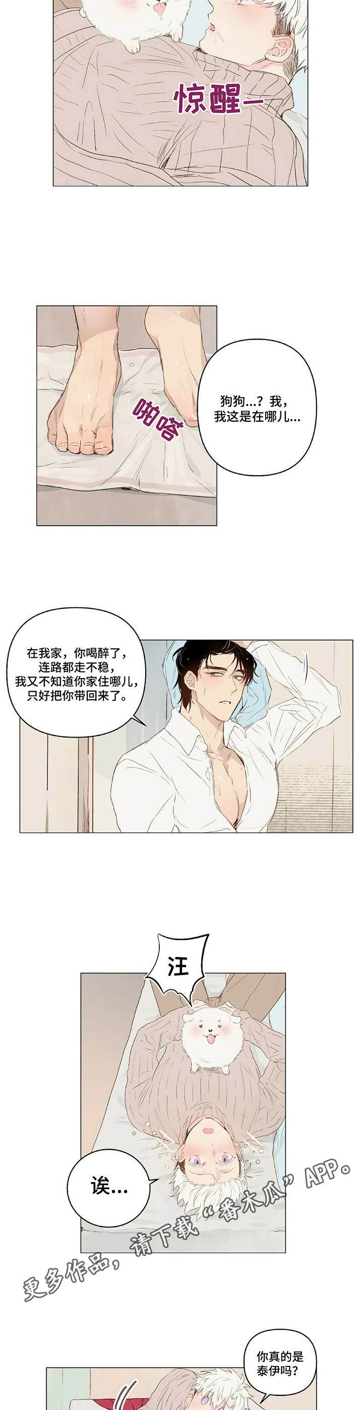 第19章：领回家