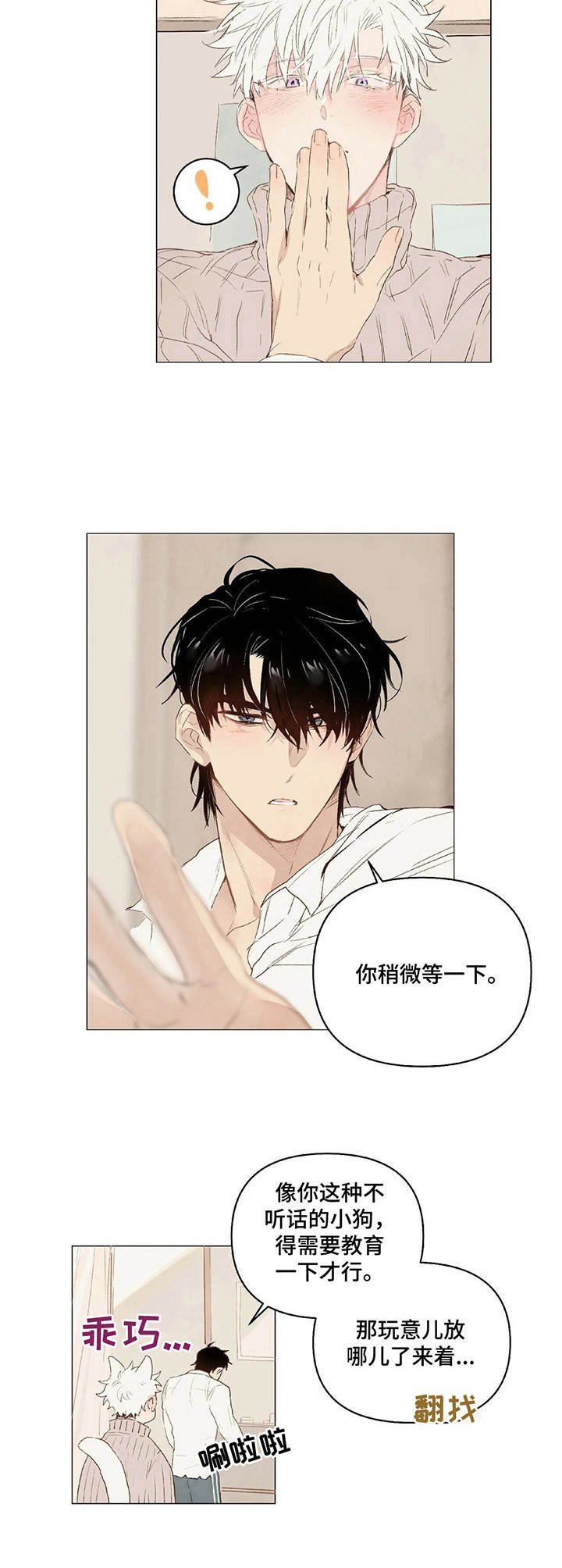 第19章：领回家