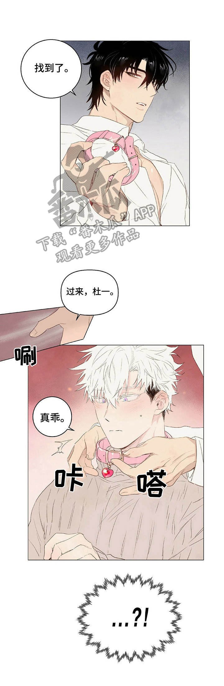 第19章：领回家